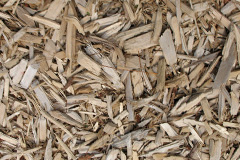 biomass boilers White Post